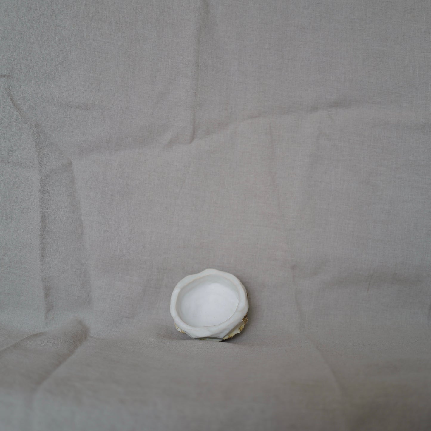 White Matt Oxide Carved Bowl