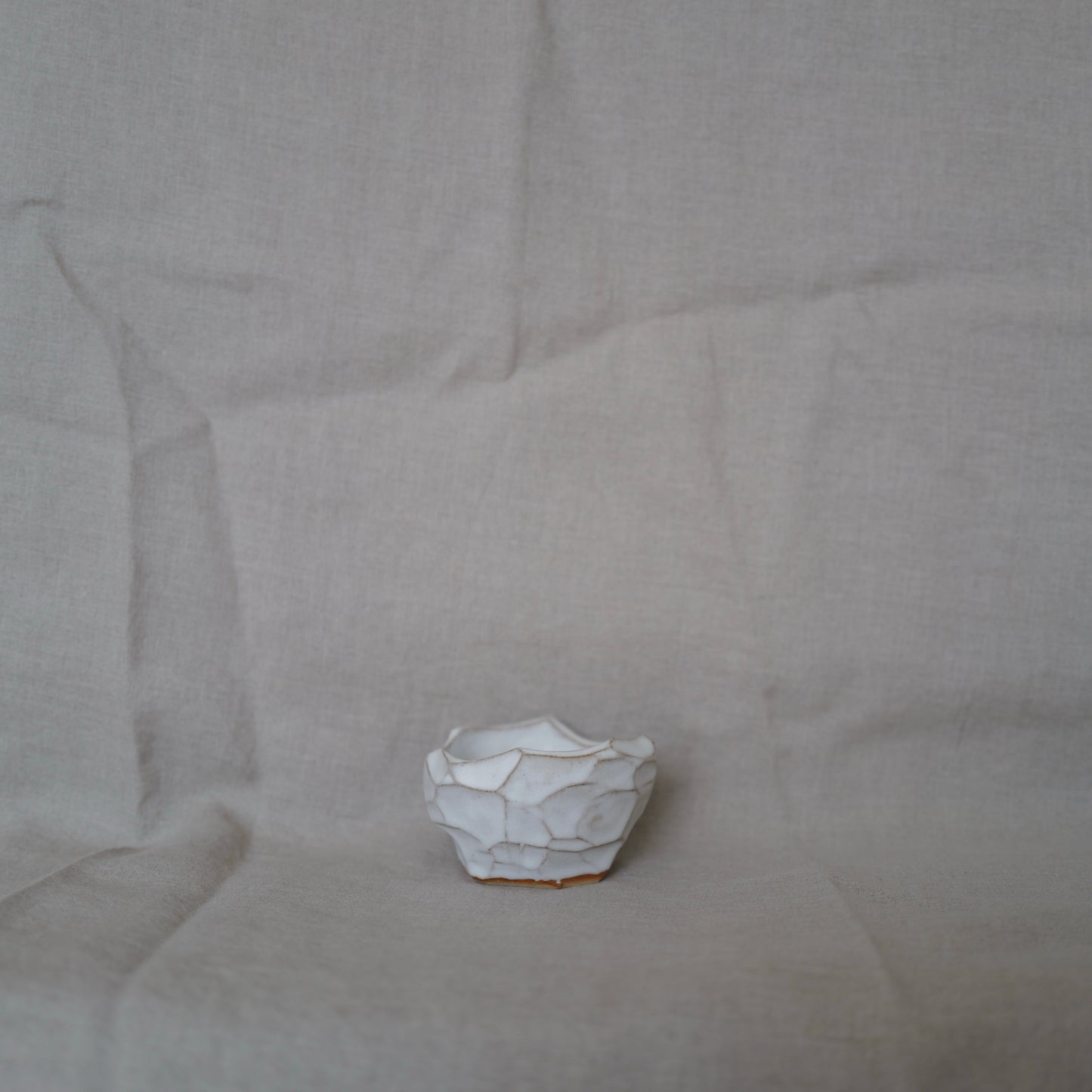 White Matt Faceted Bowl II