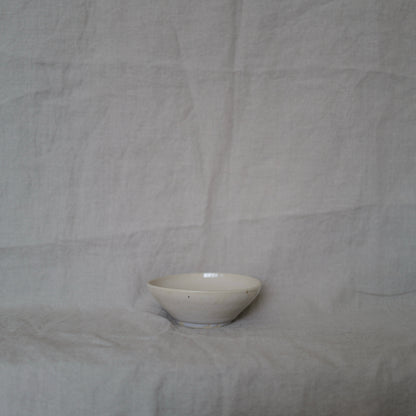 Shiny Stone Bowl II