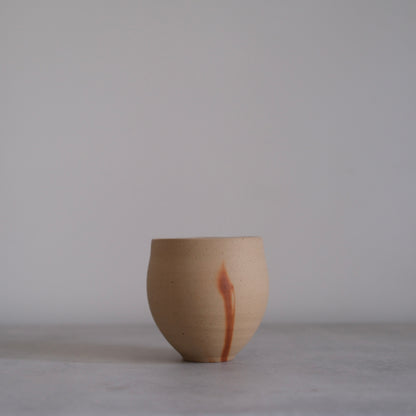 Bizen Cup II