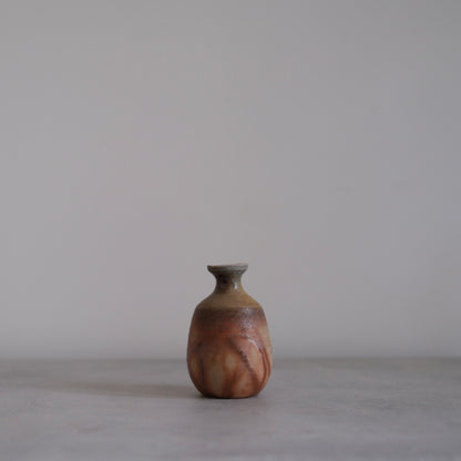 Bizen Vase I